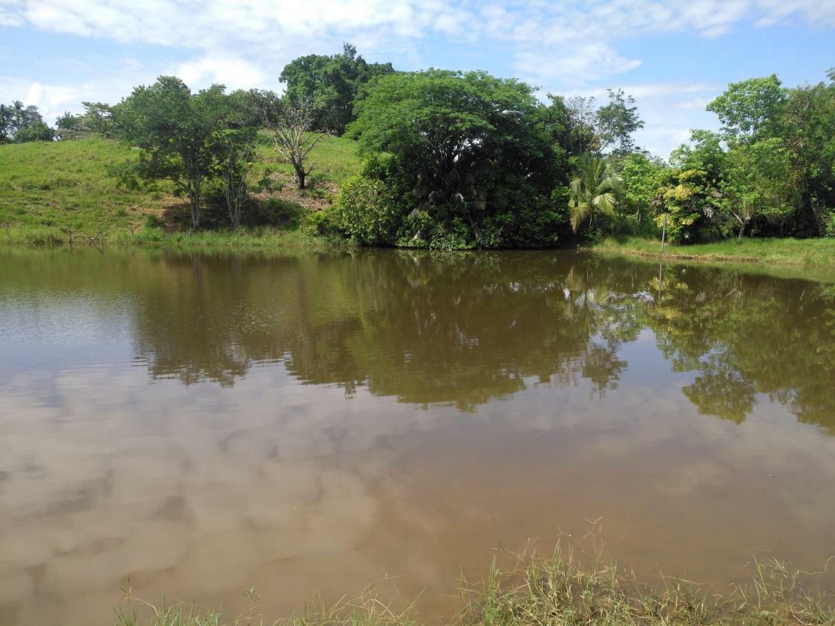 Villa Sara Doradal Luaran gambar